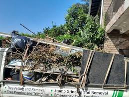 Best Demolition Debris Removal in Wakefield, MI